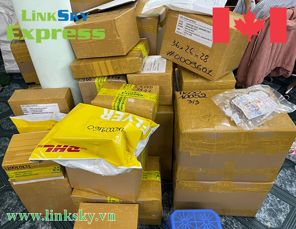 Dịch vụ vận chuyển gửi hàng hóa đi Canada giá rẻ tại Tp Hồ Chí Minh
